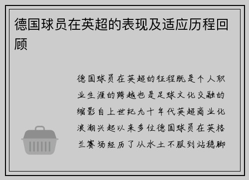 德国球员在英超的表现及适应历程回顾
